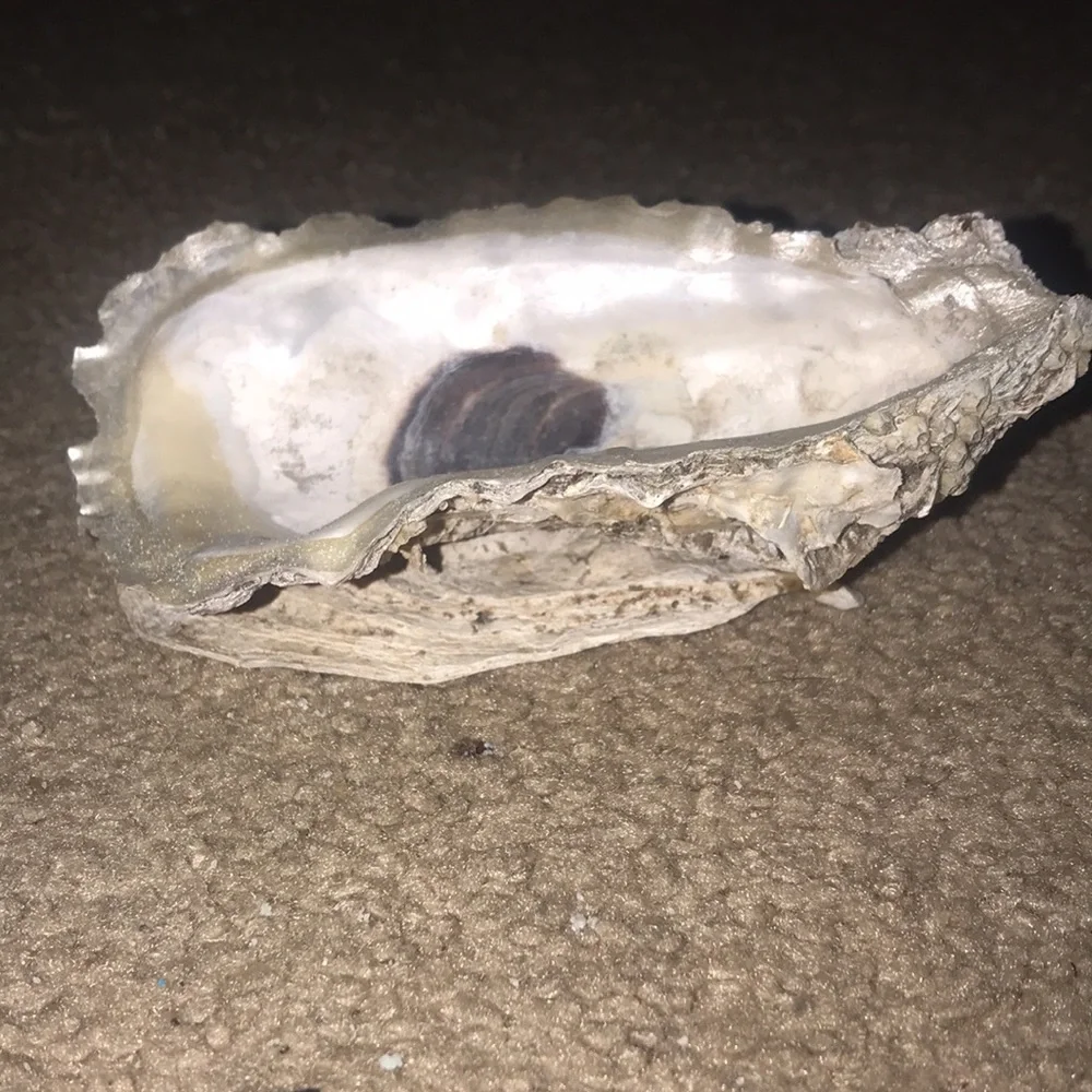 Hand Crafted oyster jewelry